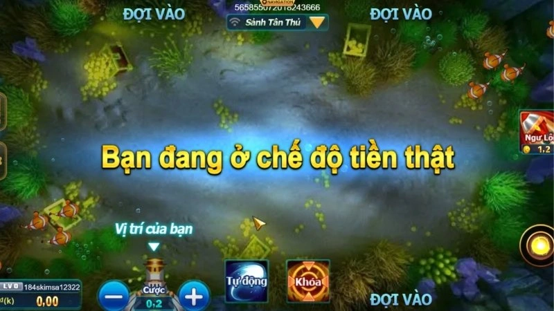 Happy Fish chơi siêu lôi cuốn