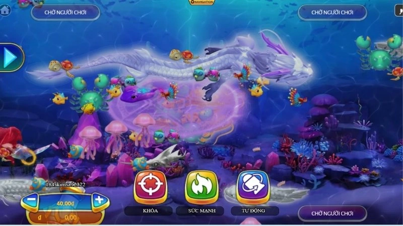 Cá boss phần thưởng hấp dẫn