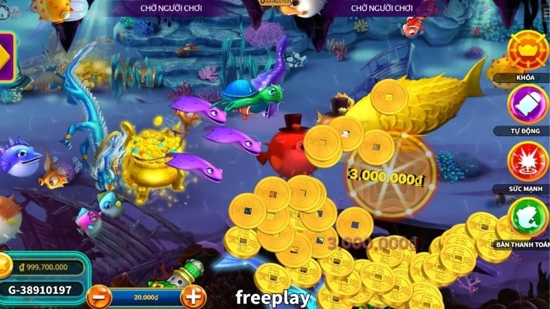 Các con cá boss, cá và điểm thưởng cao