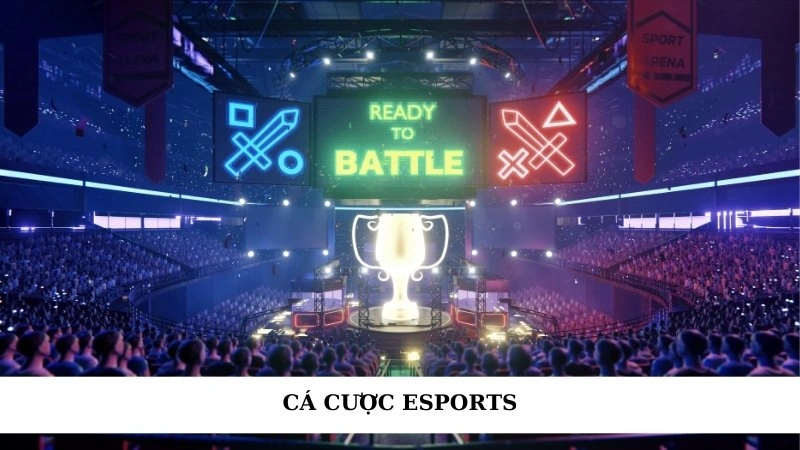 Cá cược Esports