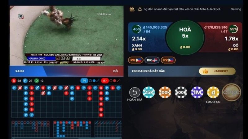 DGV99 mang lại cảm giác như ở trường gà trực tiếp